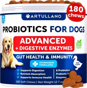 Probiotics For Dogs Support Gut Health Itchy Skin Allergies Immunity Yeast Balance Dog Probiotics And Digestive Enzymes With Prebiotics Reduce Diarrhe
