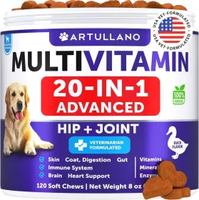 Do Not Sell On Amazon Dog Multivitamin Chewable With Glucosamine 20 In 1 Dog Vitamins And Supplements Senior & Puppy Multivitamin For Dogs Pet Joint S