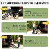 Dog car ramp, pet ramp