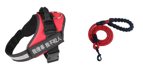 Fashion Simple Pet Leash Chest Strap Set (Option: Red-L)