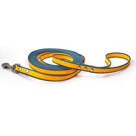 Durable material New style two-color training rope Tangle-free Soft on pet 4.92FT Obedience training Daily walk training Park training  Evening/early (Color: Orange-blue, size: 3M)